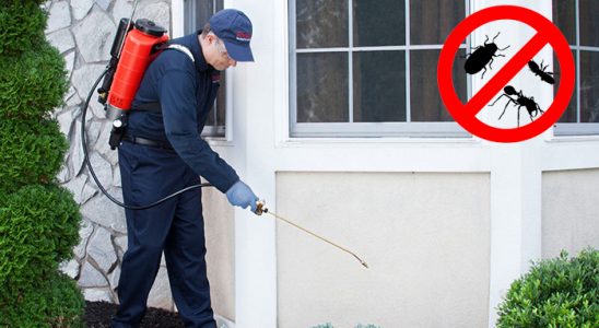 Kumluca Kemirgen İlaçlama böcek ilaçlama ve haşere kontrolü — ilaclama-tr.com